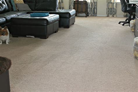 Clean Home 的图像结果