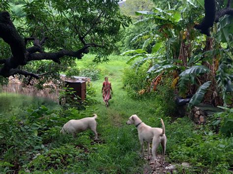 KRISHNA RANCH ECO FARM STAY, Udaipur