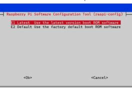 Setting License Key for Raspberry Oi 的图像结果