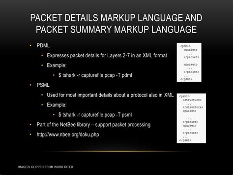 Packet Analysis Tutorial 的图像结果