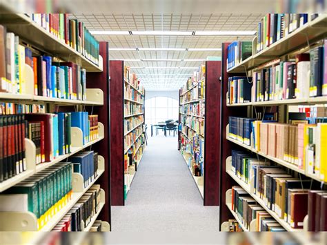 Here's how libraries are using sustainable ways to store books