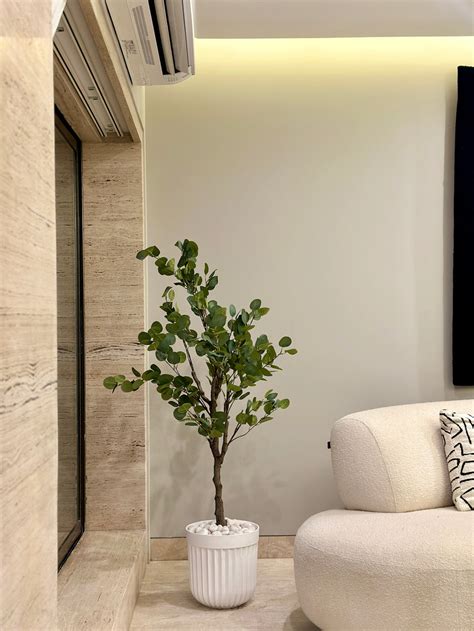 Plants & Planters – Mason Home by Amarsons - Lifestyle & Decor