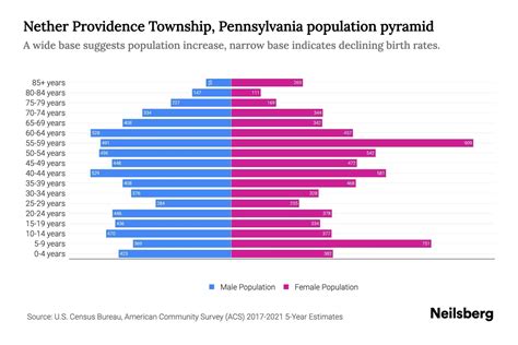 Nether Providence Township, Pennsylvania Population by Age - 2023 ...