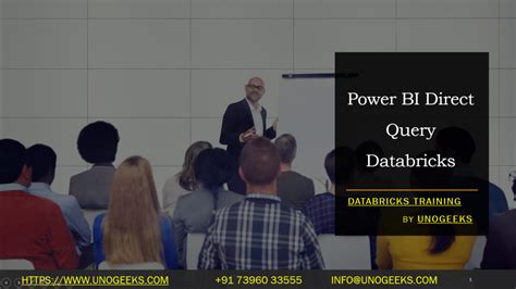 Databricks Query into Power Bi 的图像结果