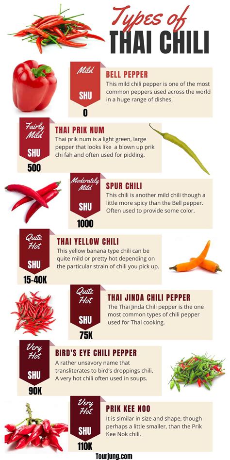 Types Of Thai Chili & Thai Chili Pepper Substitutes For Cooking Thai Dishes