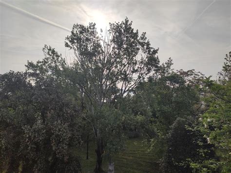 CASA CARDINAL PIAZZA (Venice) - Specialty B&B Reviews & Photos ...