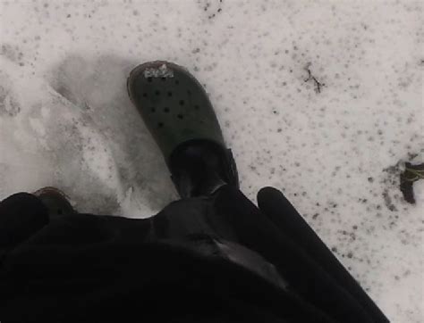 Rezultat imagine pentru Privacy Moderate