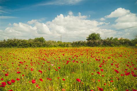 Golf Desktop Wallpaper 的图像结果