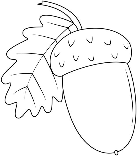 Acorn coloring page - ColouringPages