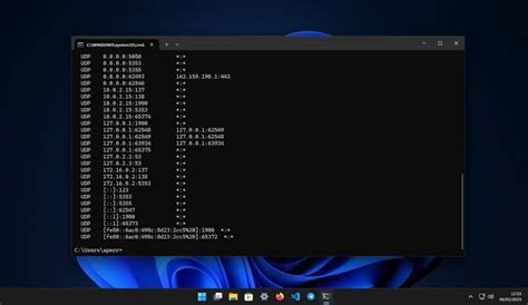 Cmd NetView 的图像结果