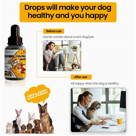 Can Kennel Cough Kill Your Dog at Margaret Steen blog - what kills kennel cough on surfaces