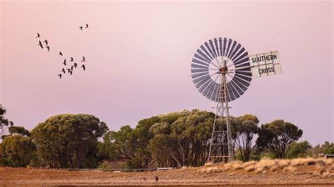 Discover Longreach: A Guide to Queensland's Outback Oasis - Concrete Playground