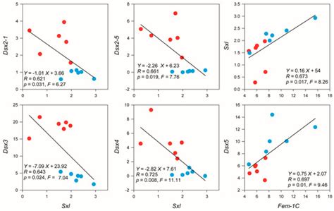 Comprehensive Genome-Wide Analysis of Dmrt Transcription Factors ...