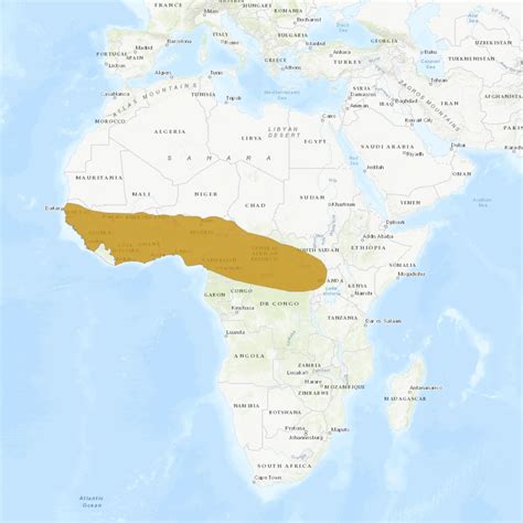Image result for Ball Python Range Map