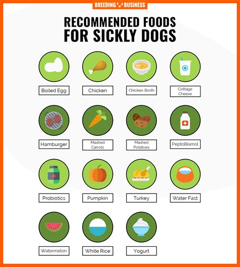 What Causes Lack Of Appetite In Dogs