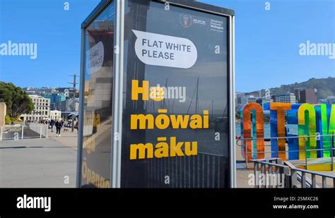 Maori Sign Language 的图像结果