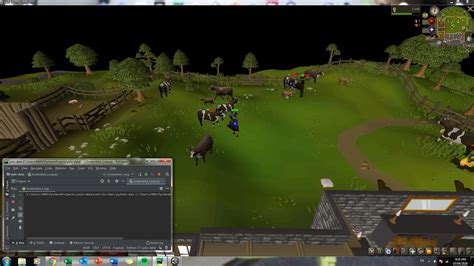 Image result for OSRS ImageBot Python