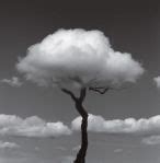 Chema Madoz: Transforming Ordinary Objects into Surreal Art – Vivek Verma