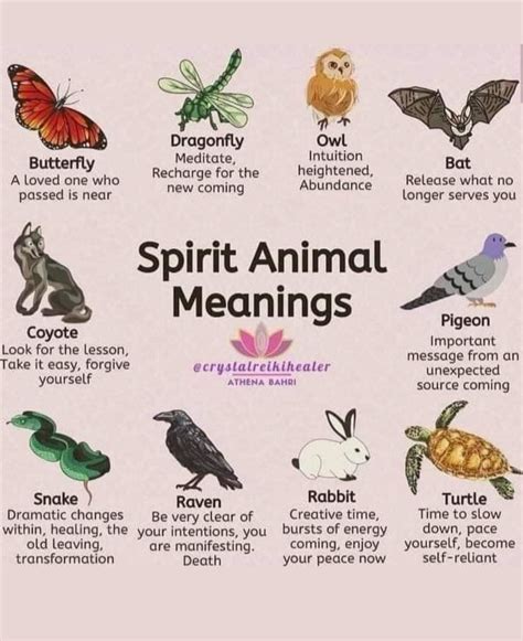 Spiritual animals – Artofit