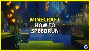 Image result for HowToBasic Speed Run Tutorial