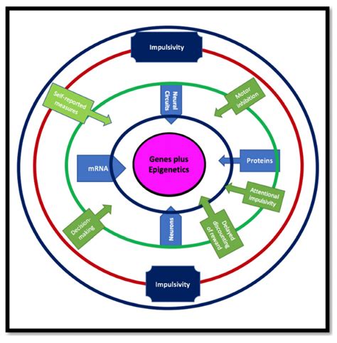 Intermittent Explosive Disorder