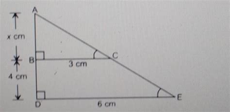 The length of AB in the given figure is: (1) 8 cm (2) 6 cm (3) 4 cm (4 ...