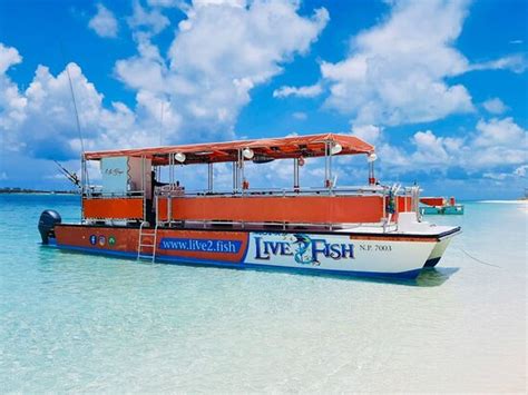 Live 2 Fish (Nassau) - All You Need to Know BEFORE You Go