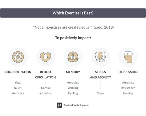Exercise Importance 的图像结果