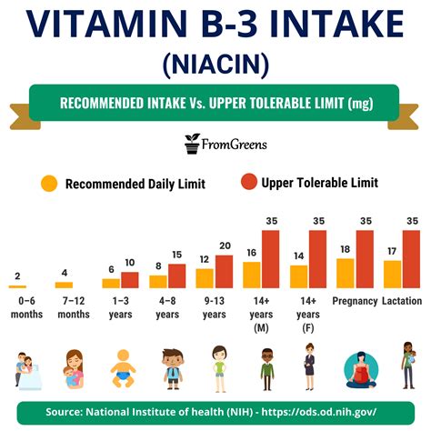 Niacin: Recommended Daily Intake And Health Guidelines For 2026