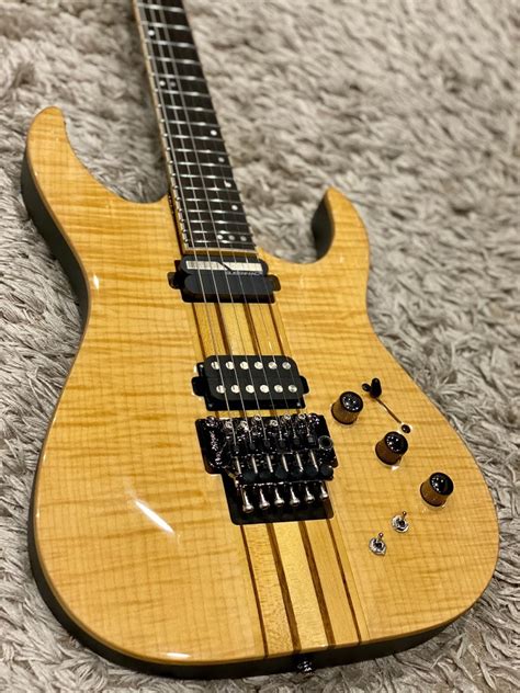 Image result for Schecter Banshee Elite