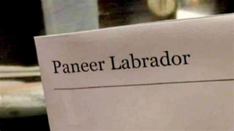 ‘Perils of autocorrect’: Restaurant serves paneer ‘labrador’ instead of ...