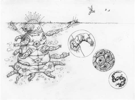 Image result for Alien Evolution History