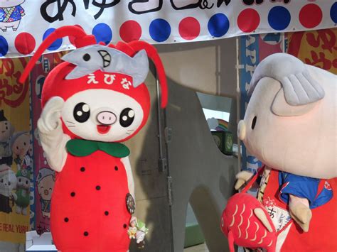 Image result for Numpy Program to Search the Index of Given Array in Python