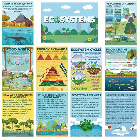 Snapklik.com : 11 Pcs Science Biology Posters Classroom Ecosystems Teaching Poster Ecosystems ...