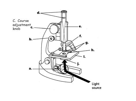 Image result for Biological Drawing of Compounb Light Microscope