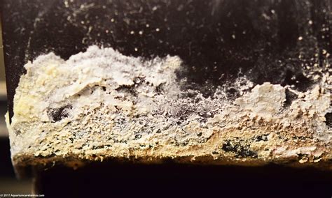 Image result for External Fish Filter Calcium Buildup