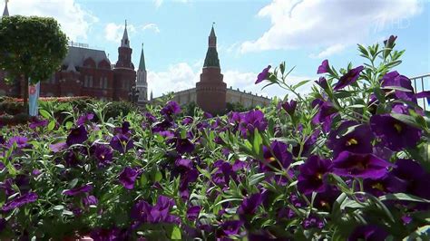 Фестиваль «Цветочный джем» начался в Москве. Новости. Первый канал