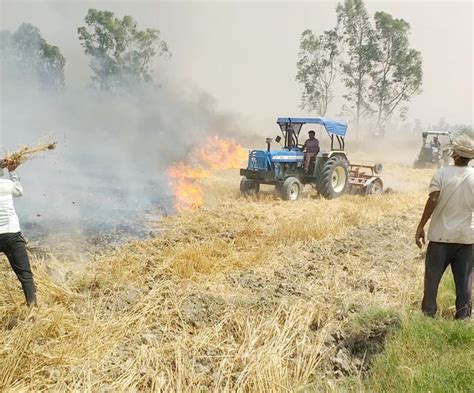 जहां तक नजर गई, वहां तक आग ही आग, अन्नदाता के अरमान राख - Two hundred ...