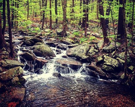 The Best Hotel Deals in Randolph (Jun 2026) - Tripadvisor