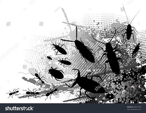 Image result for Dark Insect Screen