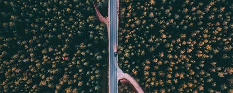 Download wallpaper 2560x1024 forest, road, aerial view, trees, treetops ...