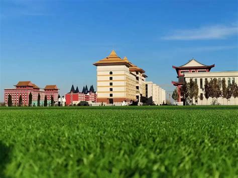 7月31日 | 天津外国语大学2023年本科招生录取进展_批文_语种_历史