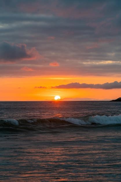 Image result for Sunset Python Snake