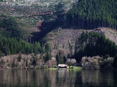 Photos by Jan: Triangle Lake, Oregon and Further Adventures