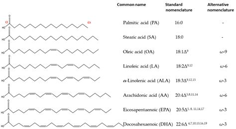 Omega 3 Polyunsaturated Fatty Acids Structure at Susie Branch blog
