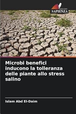 Microbi benefici inducono la tolleranza delle piante allo stress salino ...