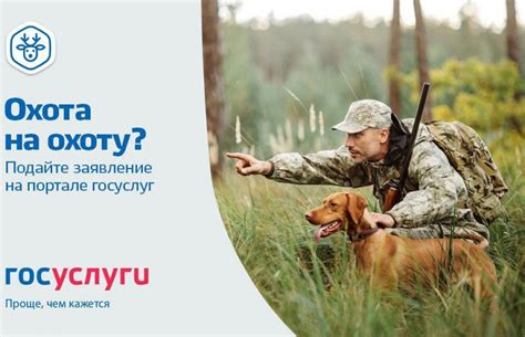 Жители Тувы начали получать разрешения на охоту в электронном виде ...