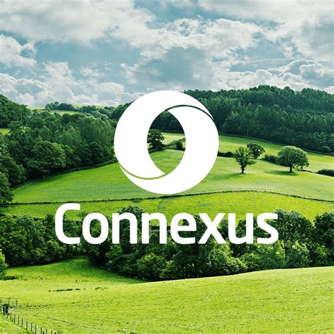 Connexus Academy Calendar - Career Growth Academy