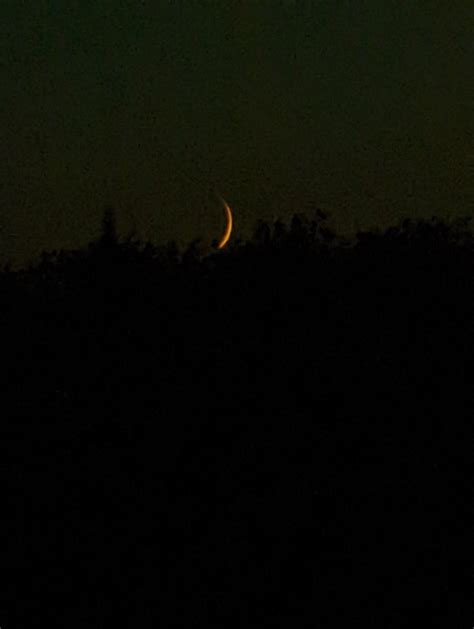 TW Pornstars - Charlie Cruise. Twitter. Night night, moon #iwannagotothemoon. 2:13 AM - 31 Jul 2022