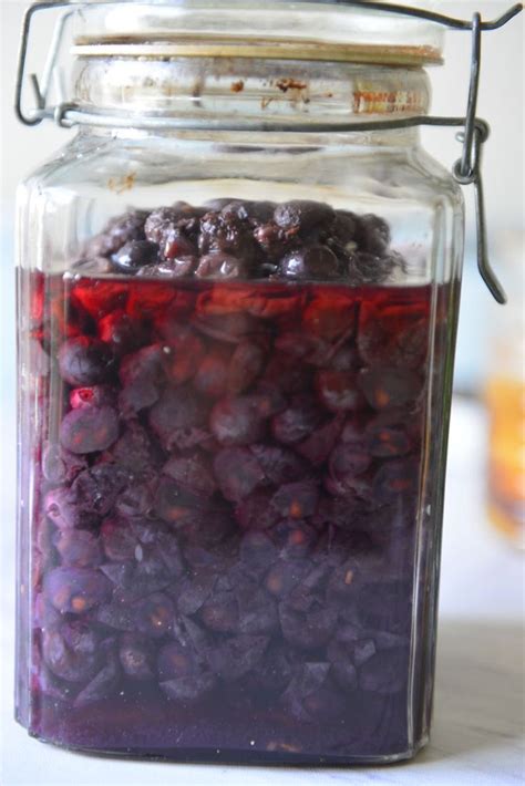 Image result for Easy Homemade Wine Using Grapes